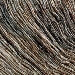 Lines on Dry Wood Lines on dry wood