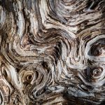 Twisted lines on the wood