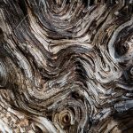 Wavy texture on wood