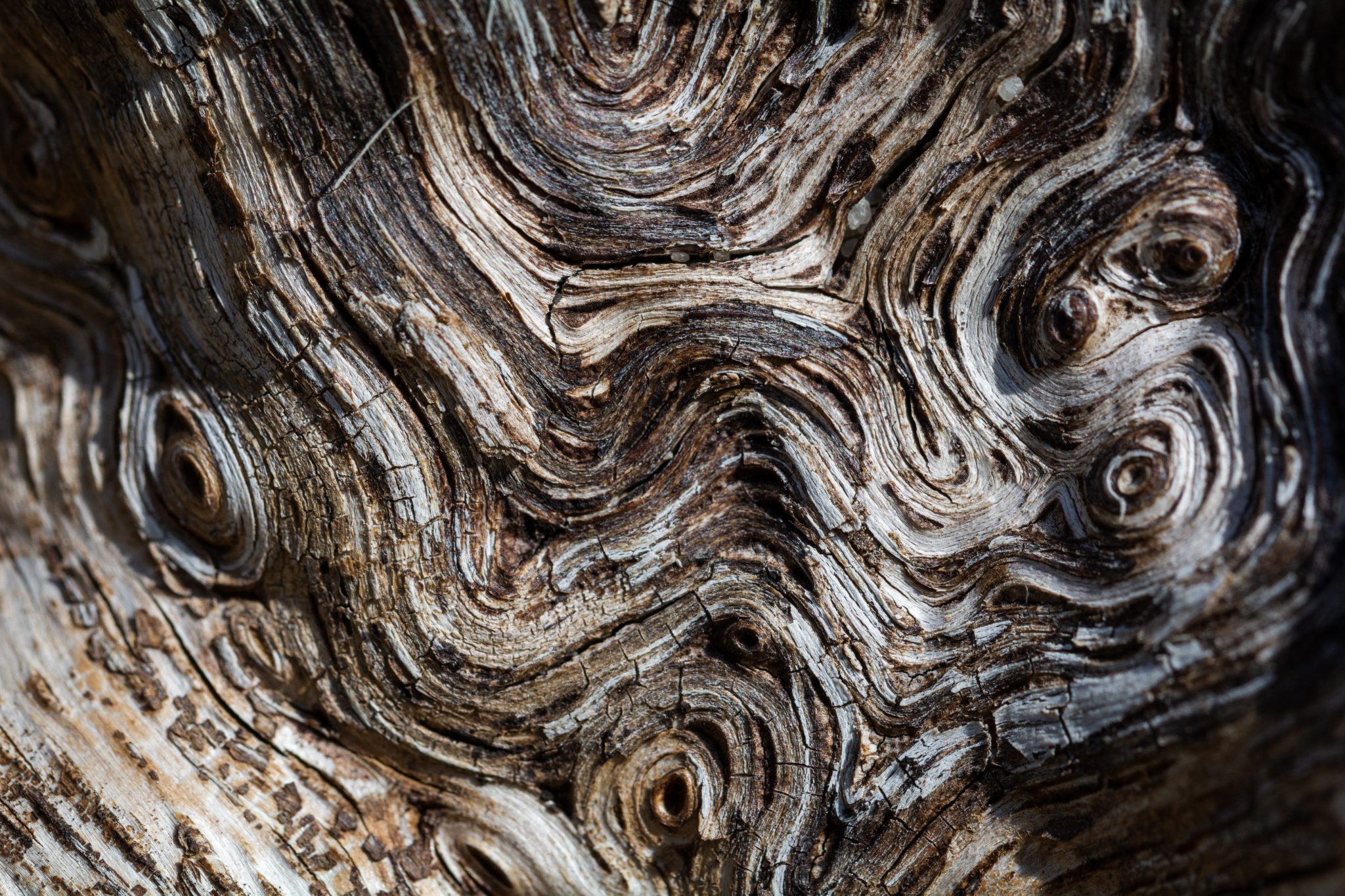 Wavy Texture on Wood | Copyright-free photo (by M. Vorel) | LibreShot