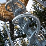 Big Slide in the Forest Big slide in the forest