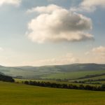 Beautifu Landscape