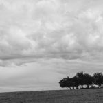 B&W Minimalist Landscape