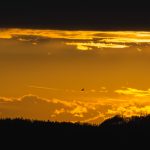 Dramatic orange sky