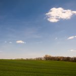 Green Hill Landscape