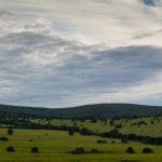 Green Meadow Landscape Meadow Landscape