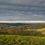 Hilly landscape