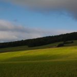 Meadow landscape with light and shadow