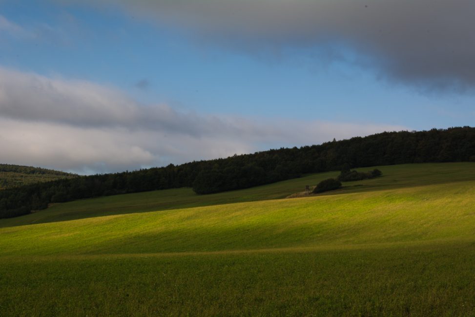 Meadow Landscape With Light And Shadow Copyright Free Photo By M