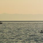 Man at sea on a paddleboard