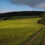The way in the Fields Way in the fields