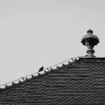 Old Roof Detail Old roof detail