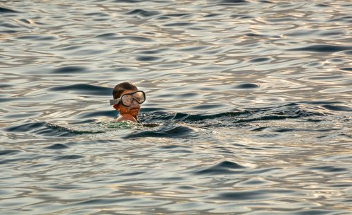 Budak Leutik Diving di Laut