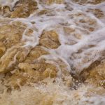Dirty Water Dirty Water