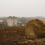 Old round hay bales