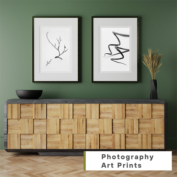 Fine Art Photography Prints for Sale